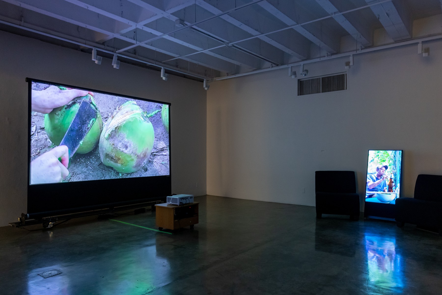 video installation