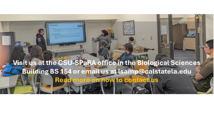 students listening to a presentation