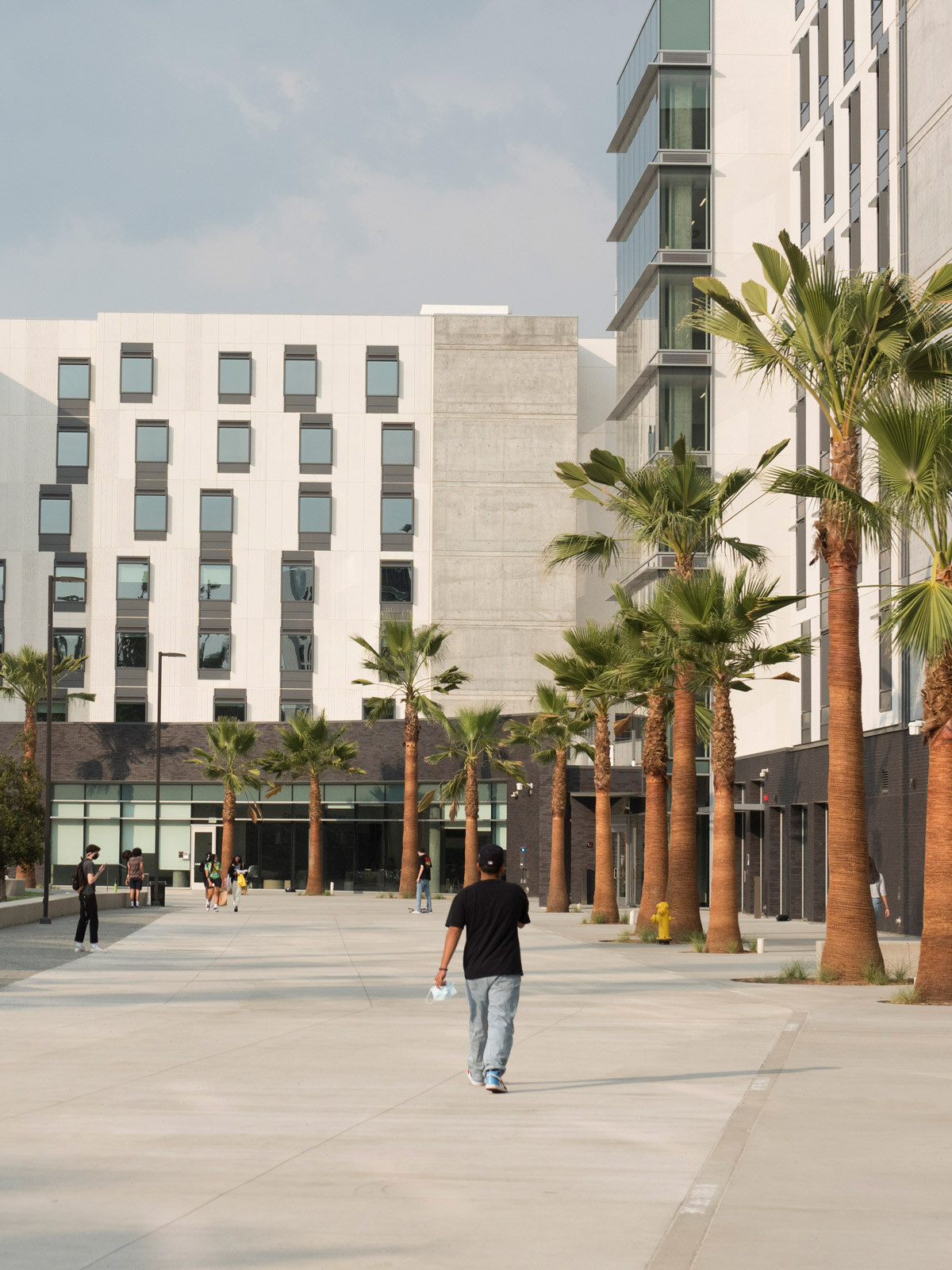 A student walking on a walkway towards a building on a sunny day.