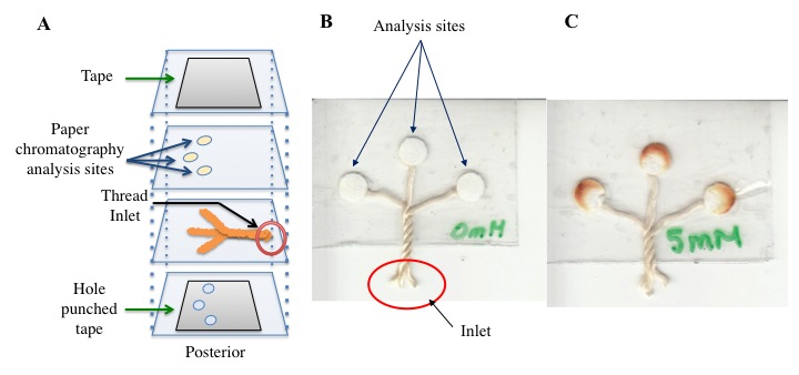 Figure 2 new