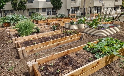 Food garden image