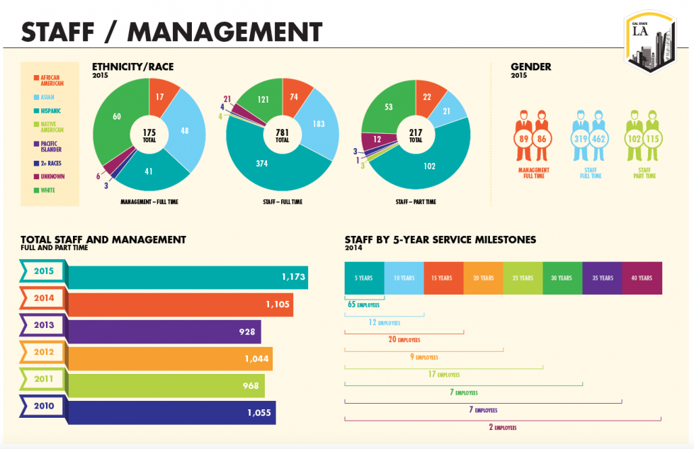 Staff/mamgement Inforgraphic