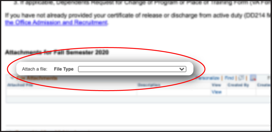 Online form, circle around File Type drop down box