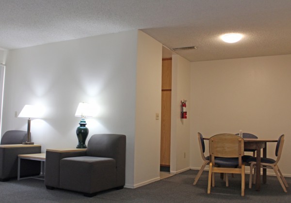 a kitchen table and living room chairs, and lamps.