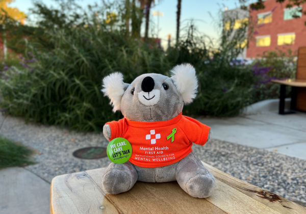 Stuffed koala bear sitting on bench with orange t-shirt reading Mental Health First Aid. Green ribbon pin and green button.