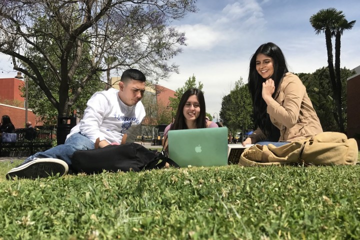 Students Look at Computer on the Grass Outside of the Career Center