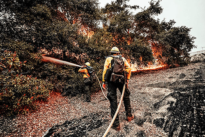 Firefighter fighting fire in a forest