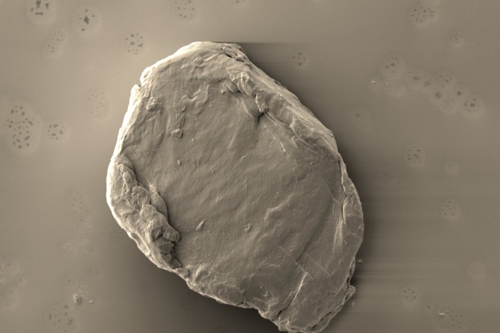 MICROPLASTIC SEM