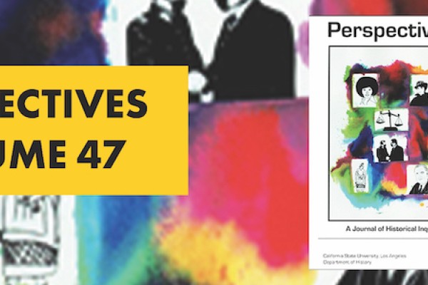 Cover of Perspectives Volume 47