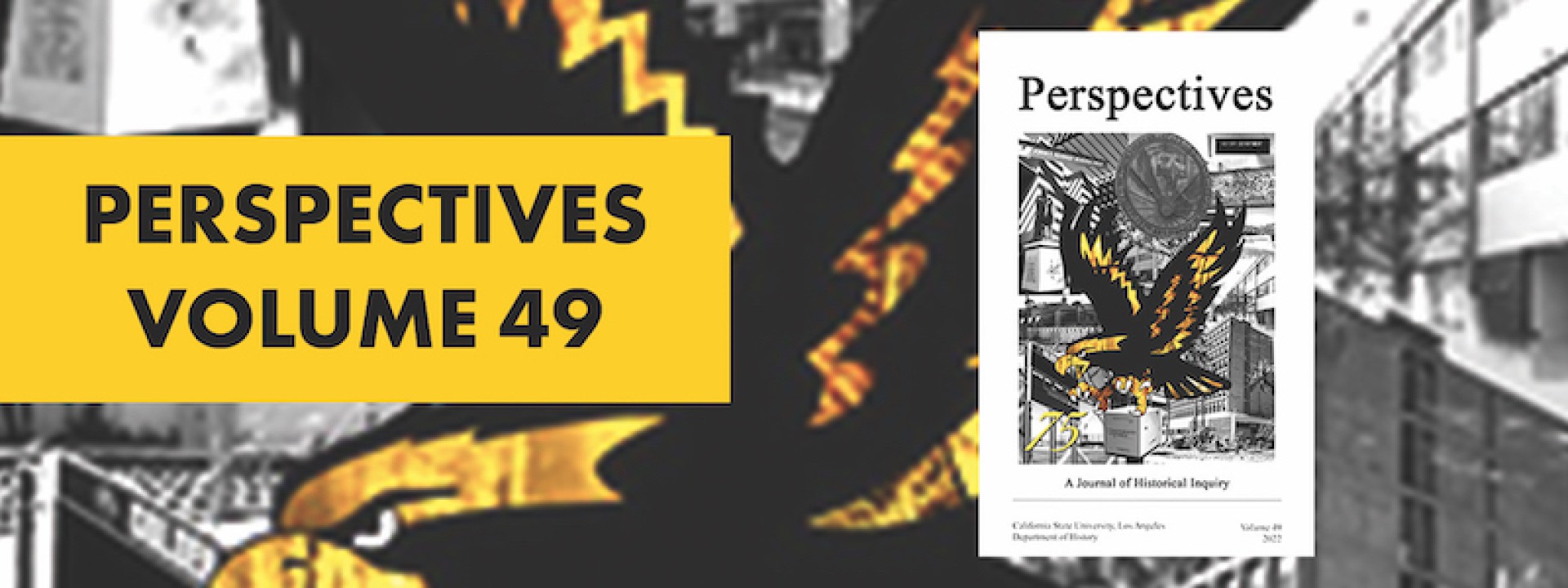 Cover of Perspectives Volume 49