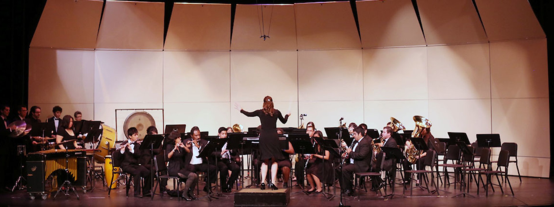 Image of a conductor in front of an orchestra of student musicians on stage