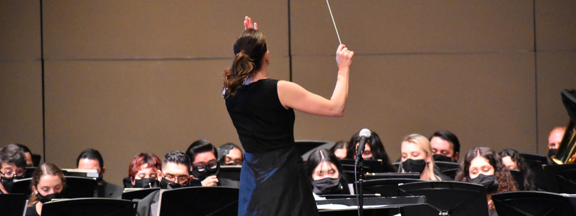 Wind ensemble, conductor back shot